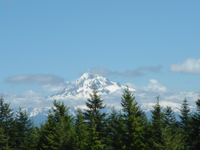 MOUNT HOOD